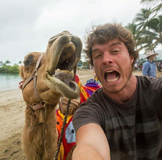 حيوانات تقلد أصحابها بحركات طريفة أثناء التقاط الصور صورة رقم 12