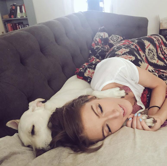 حيوانات تقلد أصحابها بحركات طريفة أثناء التقاط الصور صورة رقم 7