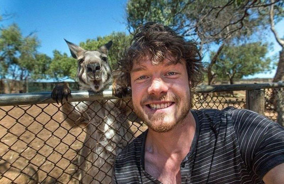 حيوانات تقلد أصحابها بحركات طريفة أثناء التقاط الصور صورة رقم 9