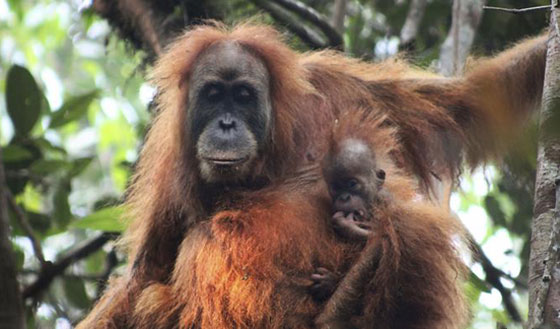  ���� ��� 1 - ������.. 10 ������ ��� ������ ����� �� ��� ���� ������� ��� ����!