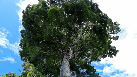  ���� ��� 2 - ������.. 10 ������ ��� ������ ����� �� ��� ���� ������� ��� ����!