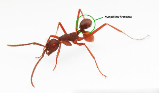  ���� ��� 3 - ������.. 10 ������ ��� ������ ����� �� ��� ���� ������� ��� ����!