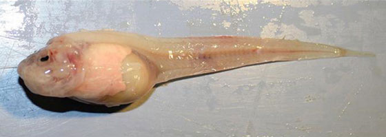  ���� ��� 4 - ������.. 10 ������ ��� ������ ����� �� ��� ���� ������� ��� ����!