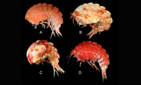  ���� ��� 6 - ������.. 10 ������ ��� ������ ����� �� ��� ���� ������� ��� ����!