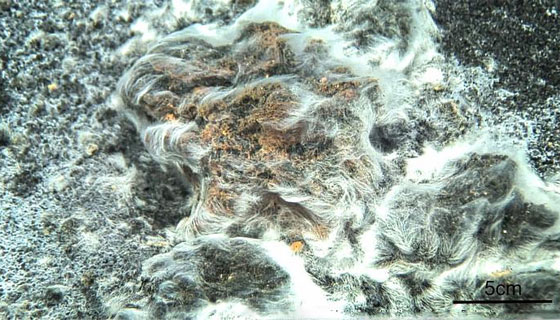  ���� ��� 7 - ������.. 10 ������ ��� ������ ����� �� ��� ���� ������� ��� ����!