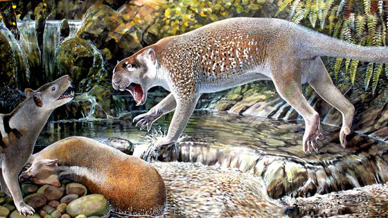  ���� ��� 8 - ������.. 10 ������ ��� ������ ����� �� ��� ���� ������� ��� ����!