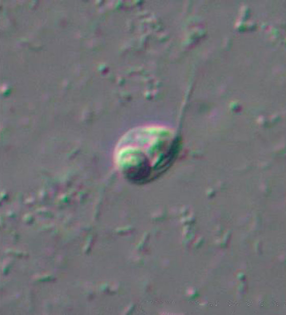  ���� ��� 9 - ������.. 10 ������ ��� ������ ����� �� ��� ���� ������� ��� ����!