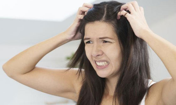 بالفيديو.. كيف ولماذا نصاب بقمل الرأس وكيف يمكن التخلص منه؟ صورة رقم 6