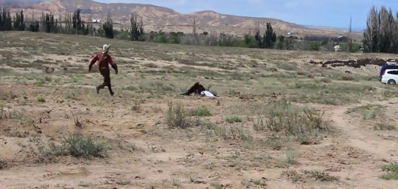 فيديو مرعب.. نسر يحاول اختطاف طفلة صورة رقم 1
