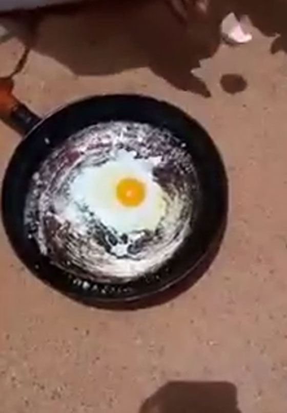 فيديو طريف: في الجزائر قلي البيض فوق الرمل من شدة حرارة الشمس صورة رقم 1