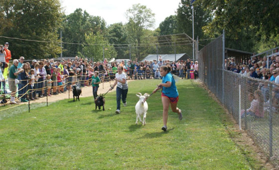 بالصور.. تعرفوا على  اغرب سباقات الحيوانات صورة رقم 10