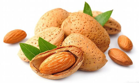 أهم المواد الطبيعية والأعشاب المسكنة والمهدئة للآلام والأوجاع المزمنة صورة رقم 8
