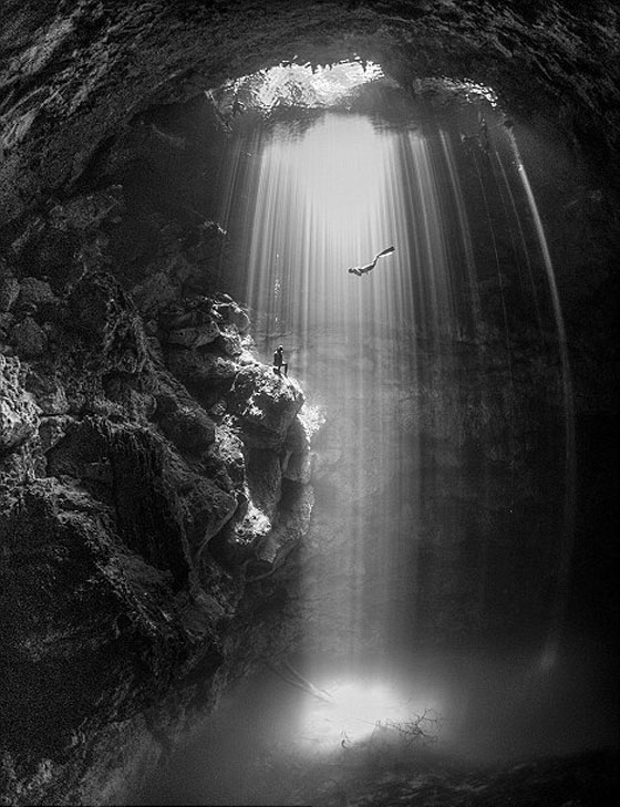 أشهر وأجمل الصور الفائزة بمسابقة التصوير تحت سطح الماء صورة رقم 4