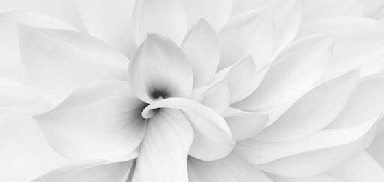  ���� ��� 1 - ������� �� �� ������ �� �������