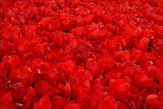  ���� ��� 3 - ������� �� �� ������ �� �������