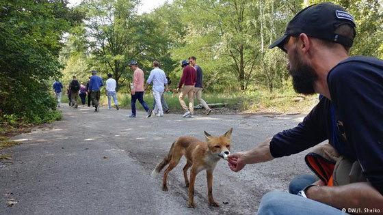بالصور.. جولة سياحية لتشيرنوبل بعد أكثر من 30 عاما على الكارثة النووية صورة رقم 9