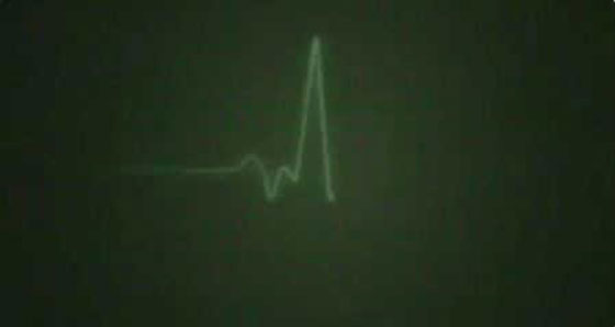 حقائق علمية جميلة ستجعلك تبتسم صورة رقم 1