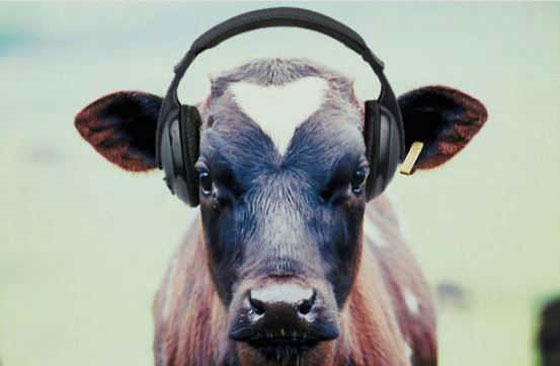 حقائق علمية جميلة ستجعلك تبتسم صورة رقم 7