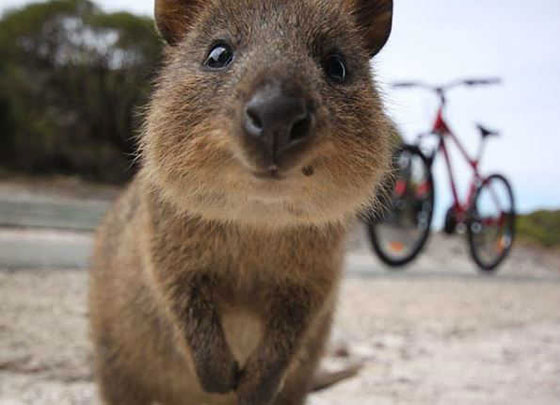 حقائق علمية جميلة ستجعلك تبتسم صورة رقم 8