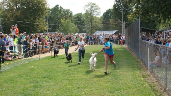  ���� ��� 10 - ������ ��� ���� ������ ��������� ��� ������