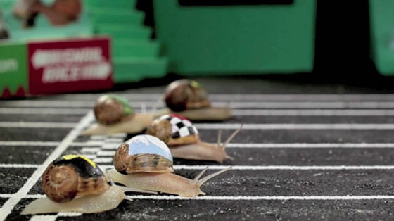  ���� ��� 3 - ������ ��� ���� ������ ��������� ��� ������