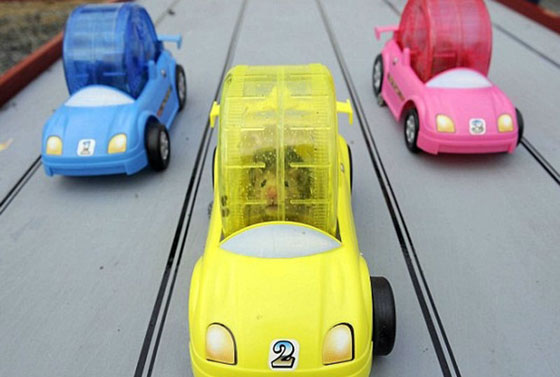  ���� ��� 6 - ������ ��� ���� ������ ��������� ��� ������