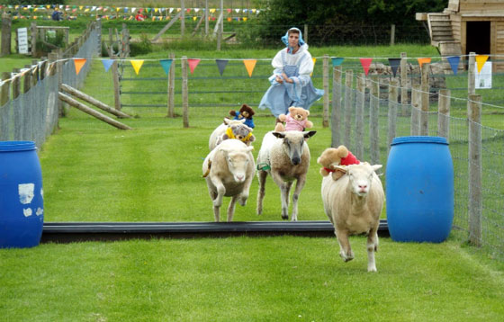  ���� ��� 8 - ������ ��� ���� ������ ��������� ��� ������