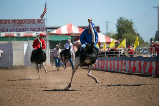  ���� ��� 9 - ������ ��� ���� ������ ��������� ��� ������