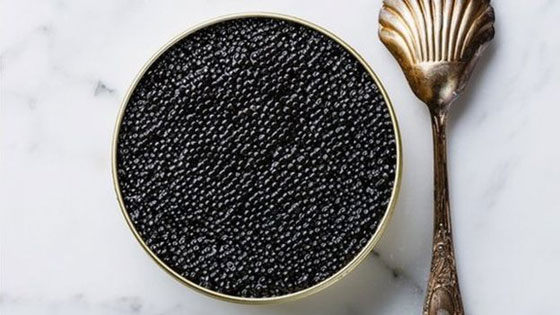 بالصور.. تعرفوا الى أغلى ثمانية أطعمة في العالم صورة رقم 2