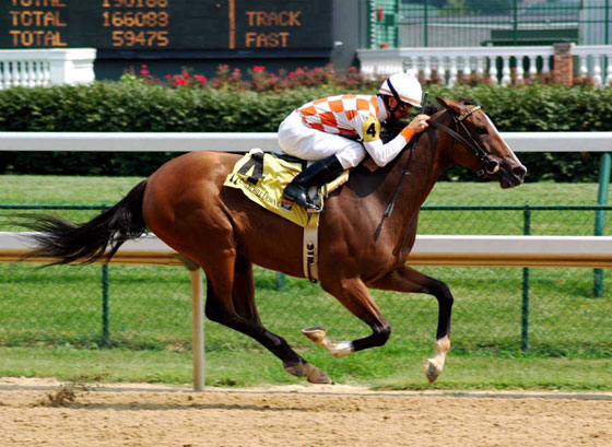 بالصور.. تعرفوا على أغلى الحيوانات ثمنا حول العالم صورة رقم 7