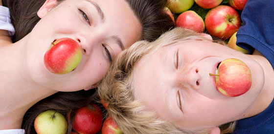 صورة رقم 7 - أكثر الفواكه شعبية.. معلومات وحقائق ممتعة عن التفاح صورة رقم 7 - أكثر الفواكه شعبية.. معلومات وحقائق ممتعة عن التفاح