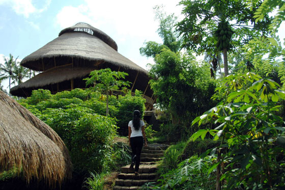  ���� ��� 6 - ������.. ���� ������� ��� ������