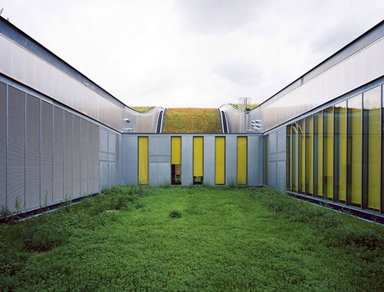  ���� ��� 13 - ������.. ���� ������� ��� ������