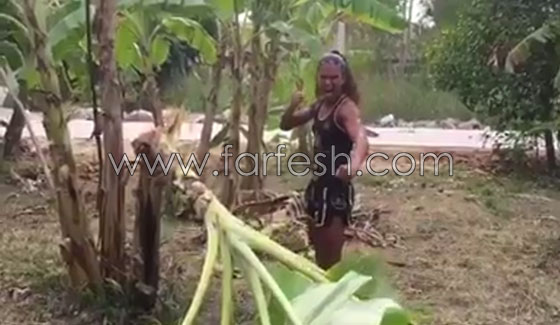 فيديو مدهش.. فتاة تكسر شجرة موز بقدمها! صورة رقم 6