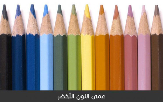 هكذا يرى المصابون بعمى الألوان العالم من حولهم.. صورة رقم 3