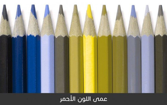 هكذا يرى المصابون بعمى الألوان العالم من حولهم.. صورة رقم 4