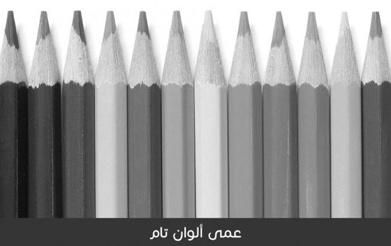 هكذا يرى المصابون بعمى الألوان العالم من حولهم.. صورة رقم 5