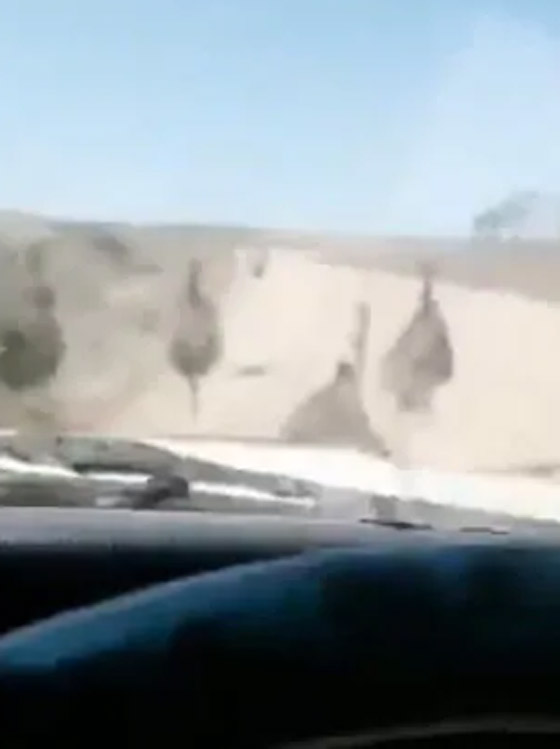 فيديو قاسي.. سائق أسترالي يقوم بدهس موكب من النعام عن عمد وهو يضحك! صورة رقم 4 فيديو قاسي.. سائق أسترالي يقوم بدهس موكب من النعام عن عمد وهو يضحك! صورة رقم 4