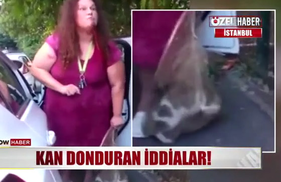 فيديو صادم.. امرأة تركية تصطاد القطط وتحولهم إلى شاورما للسوريين! صورة رقم 7