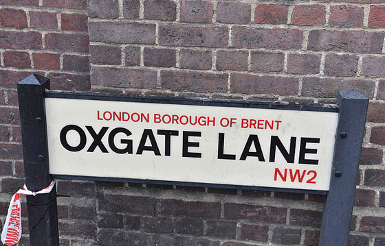 جريمة كراهية.. جرحى بعملية دهس مارة قرب مسجد في لندن! فيديو وصور صورة رقم 13