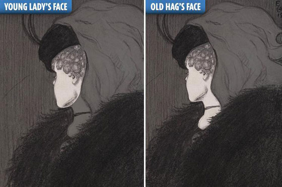 صورة مذهلة.. اكتشاف لغز أشهر صور الخداع البصري صورة رقم 2