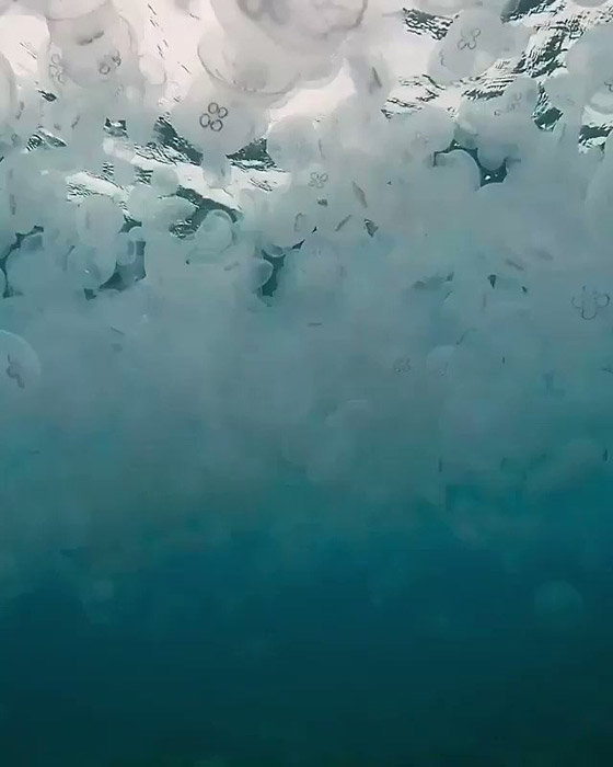 بالصور.. تعرفوا على أخطر الشواطئ حول العالم  صورة رقم 10