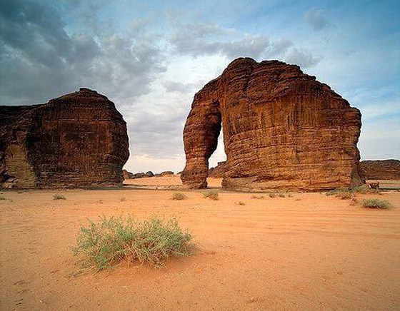 أغرب الصخور الهائلة: صخرة الفيل العملاقة في السعودية تشكلت من الصخور الرملية صورة رقم 12