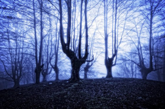 صور اغرب الالغاز الغير محلولة عبر التاريخ صورة رقم 8