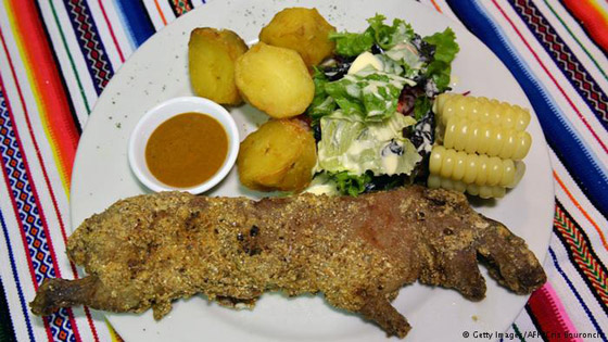  ���� ��� 11 -  ���� ����� ������ ��� ����� ������