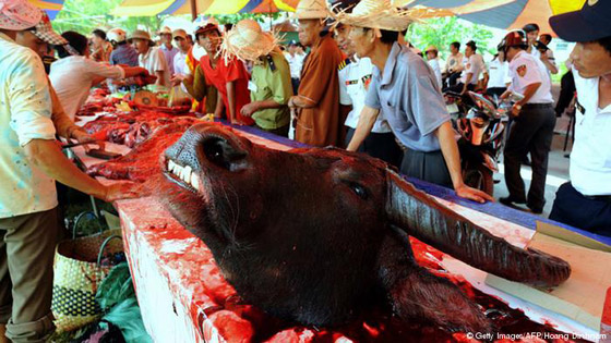  ���� ��� 12 -  ���� ����� ������ ��� ����� ������