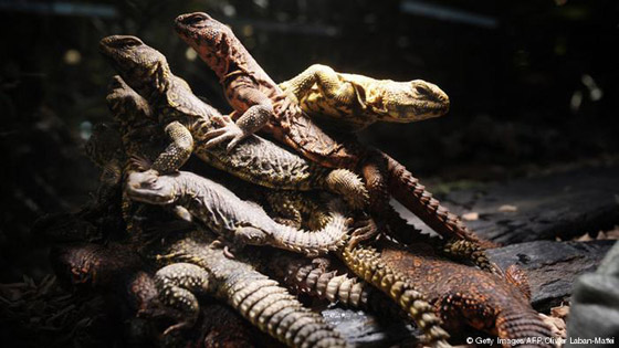  ���� ��� 2 -  ���� ����� ������ ��� ����� ������