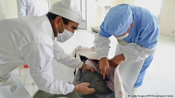  ���� ��� 4 -  ���� ����� ������ ��� ����� ������