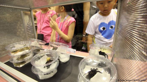  ���� ��� 5 -  ���� ����� ������ ��� ����� ������