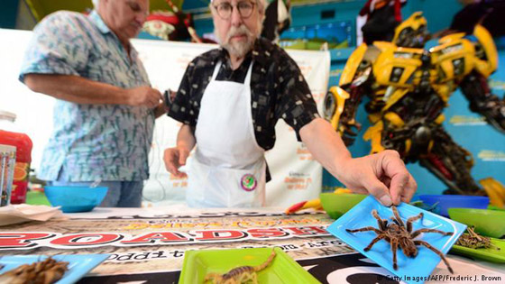  ���� ��� 6 -  ���� ����� ������ ��� ����� ������